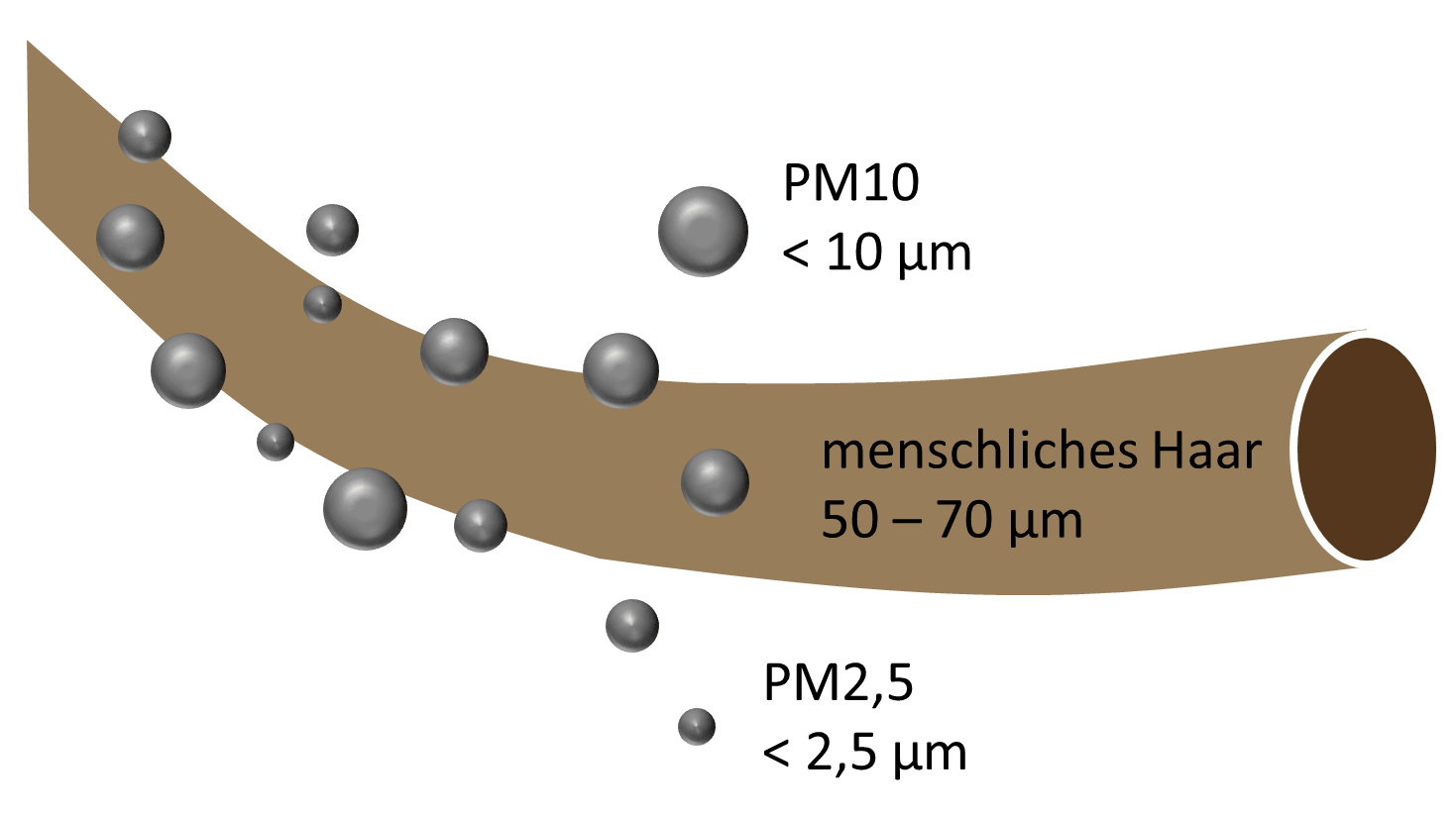 Größe PM10 und PM 2,5 Staubpartikel im Vergleich zu einem Haar